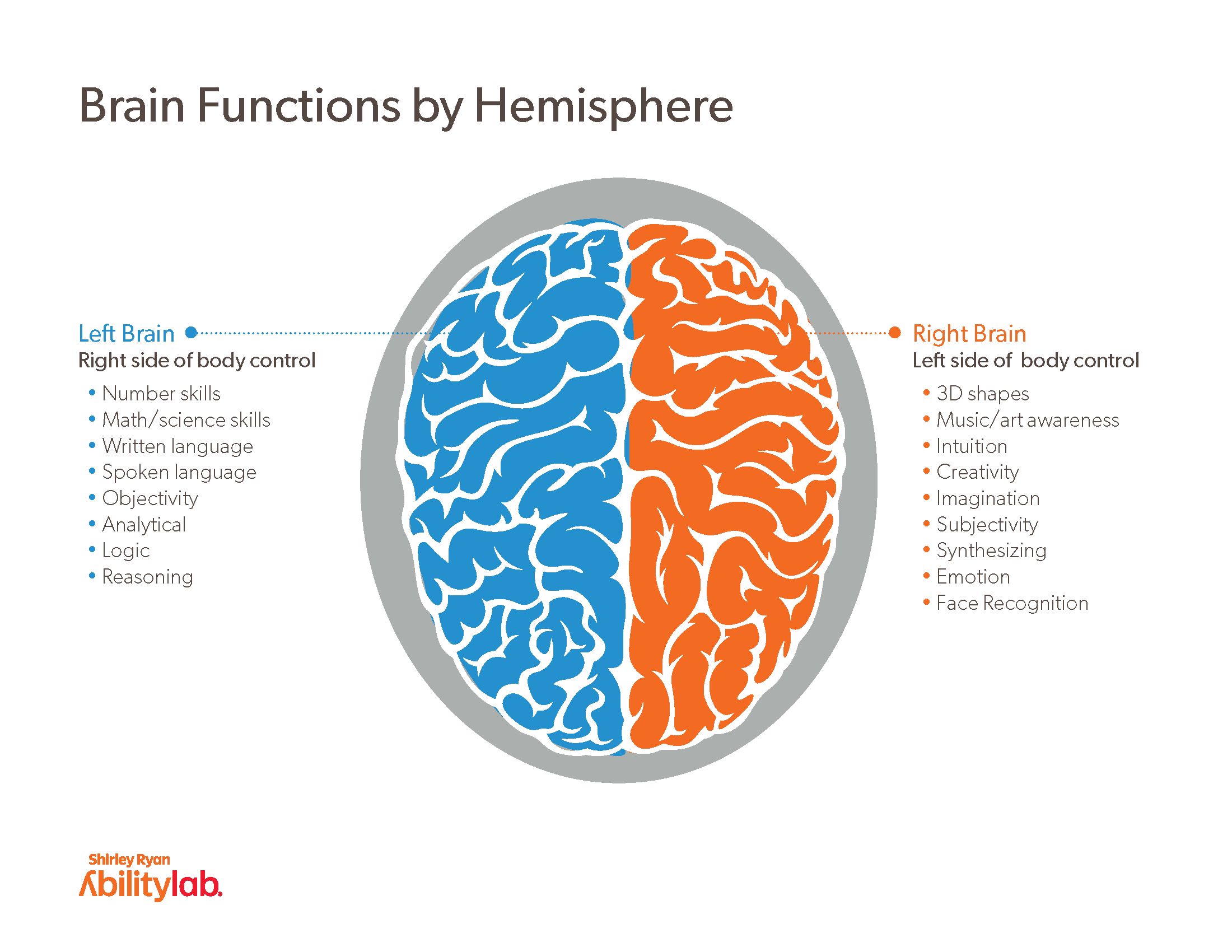 Brain function