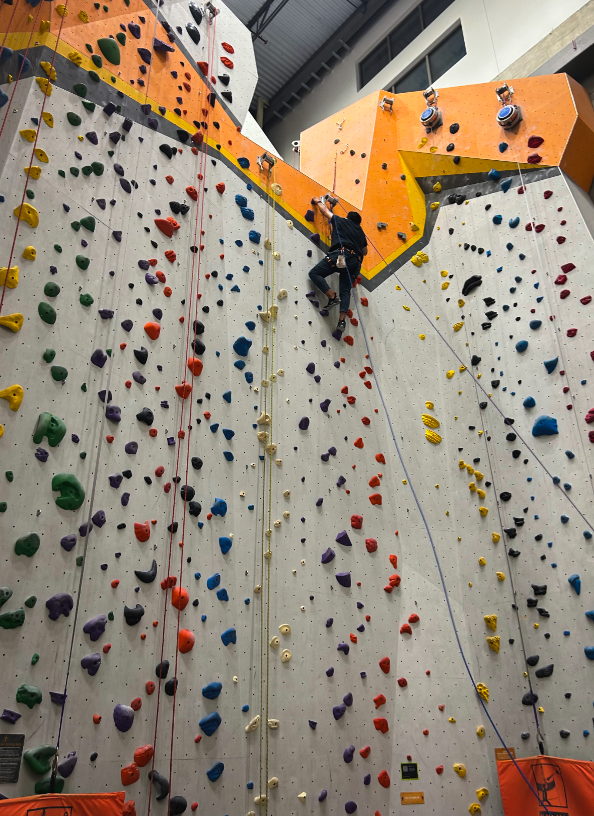 Pablo climbing