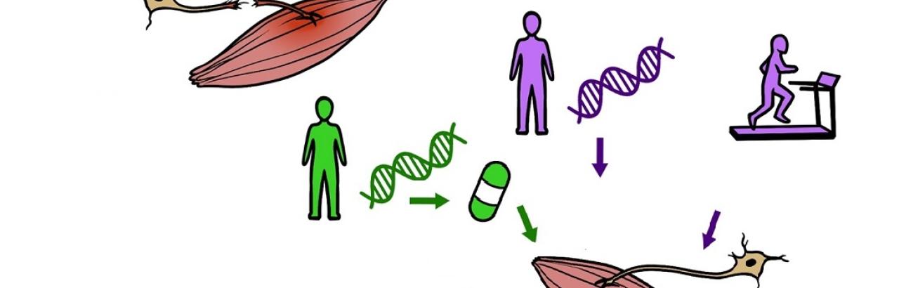human illustration of taking medicine and exercising
